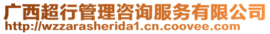 廣西超行管理咨詢服務有限公司