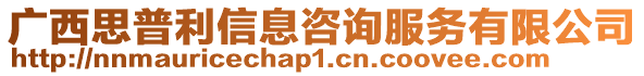 广西思普利信息咨询服务有限公司