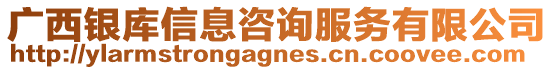 廣西銀庫信息咨詢服務有限公司