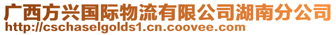 廣西方興國際物流有限公司湖南分公司