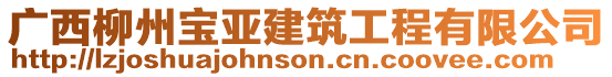 廣西柳州寶亞建筑工程有限公司