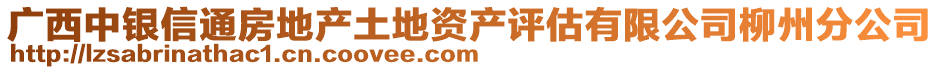 廣西中銀信通房地產(chǎn)土地資產(chǎn)評估有限公司柳州分公司