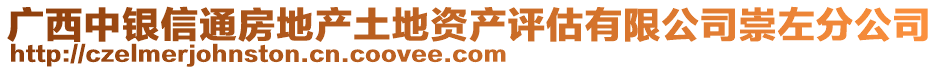 廣西中銀信通房地產(chǎn)土地資產(chǎn)評估有限公司崇左分公司