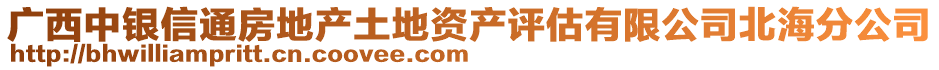 廣西中銀信通房地產(chǎn)土地資產(chǎn)評估有限公司北海分公司