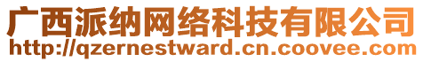 廣西派納網(wǎng)絡(luò)科技有限公司