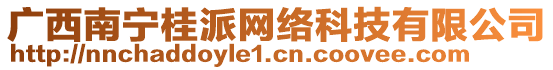 廣西南寧桂派網(wǎng)絡(luò)科技有限公司