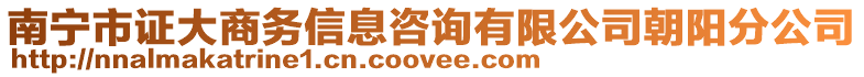 南寧市證大商務(wù)信息咨詢有限公司朝陽分公司