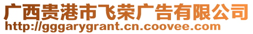 廣西貴港市飛榮廣告有限公司