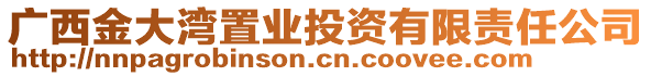 廣西金大灣置業(yè)投資有限責(zé)任公司