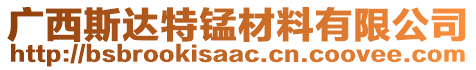 廣西斯達(dá)特錳材料有限公司