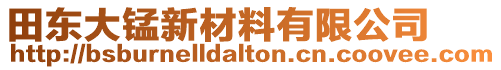 田東大錳新材料有限公司