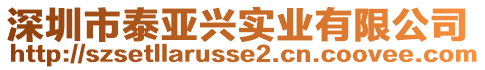 深圳市泰亚兴实业有限公司