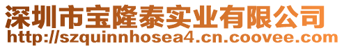 深圳市寶隆泰實(shí)業(yè)有限公司