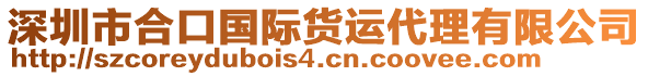 深圳市合口國際貨運(yùn)代理有限公司