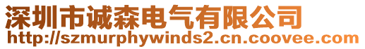 深圳市誠森電氣有限公司