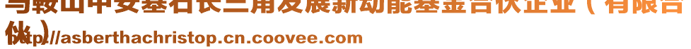 馬鞍山中安基石長三角發(fā)展新動(dòng)能基金合伙企業(yè)（有限合
伙）