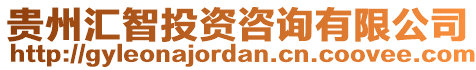 貴州匯智投資咨詢有限公司