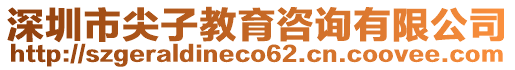 深圳市尖子教育咨詢有限公司