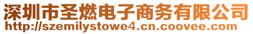 深圳市圣燃電子商務(wù)有限公司