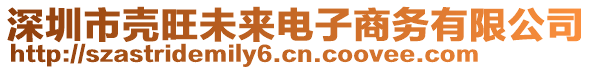 深圳市殼旺未來電子商務(wù)有限公司