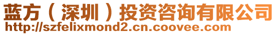 藍(lán)方（深圳）投資咨詢有限公司