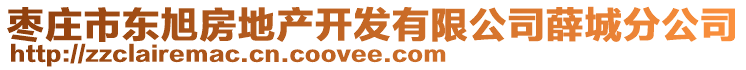 棗莊市東旭房地產(chǎn)開發(fā)有限公司薛城分公司