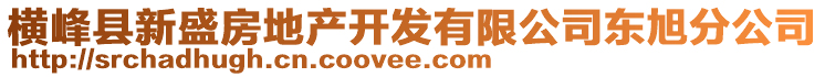 橫峰縣新盛房地產(chǎn)開(kāi)發(fā)有限公司東旭分公司