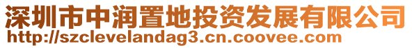 深圳市中润置地投资发展有限公司