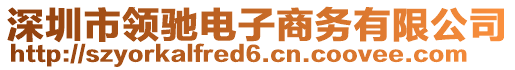 深圳市領(lǐng)馳電子商務(wù)有限公司