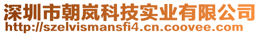 深圳市朝嵐科技實業(yè)有限公司