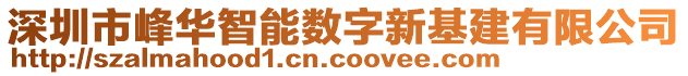 深圳市峰華智能數(shù)字新基建有限公司