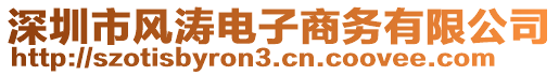 深圳市風(fēng)濤電子商務(wù)有限公司