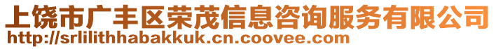 上饒市廣豐區(qū)榮茂信息咨詢服務(wù)有限公司