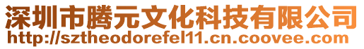 深圳市騰元文化科技有限公司