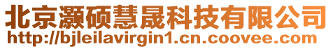 北京灝碩慧晟科技有限公司
