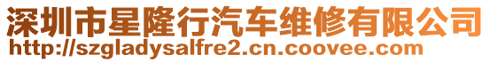 深圳市星隆行汽車維修有限公司