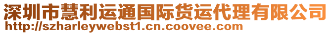 深圳市慧利運通國際貨運代理有限公司