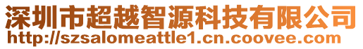 深圳市超越智源科技有限公司