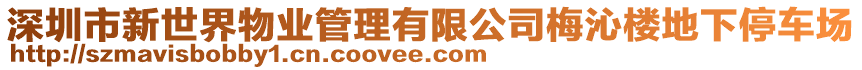 深圳市新世界物業(yè)管理有限公司梅沁樓地下停車場