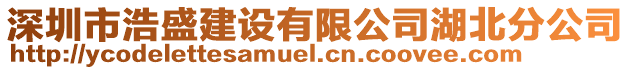 深圳市浩盛建设有限公司湖北分公司