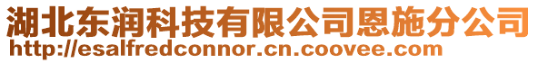 湖北東潤(rùn)科技有限公司恩施分公司