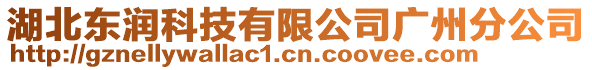 湖北东润科技有限公司广州分公司