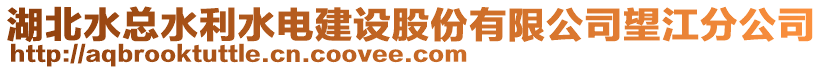 湖北水總水利水電建設(shè)股份有限公司望江分公司