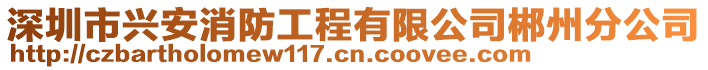 深圳市興安消防工程有限公司郴州分公司