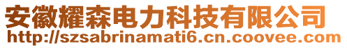 安徽耀森電力科技有限公司