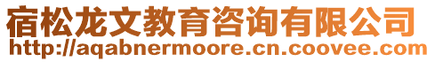 宿松龍文教育咨詢有限公司