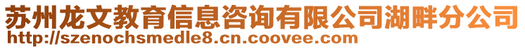 蘇州龍文教育信息咨詢有限公司湖畔分公司