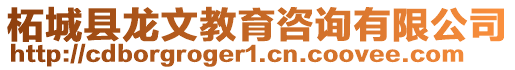 柘城縣龍文教育咨詢有限公司