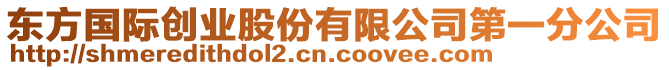 東方國(guó)際創(chuàng)業(yè)股份有限公司第一分公司