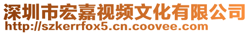 深圳市宏嘉視頻文化有限公司